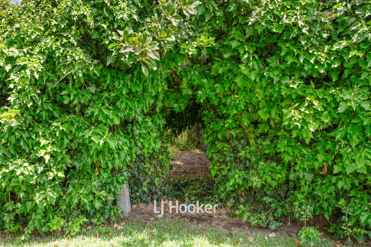 Additional image 18 of 146 Spencer Street, South Bunbury WA 6230