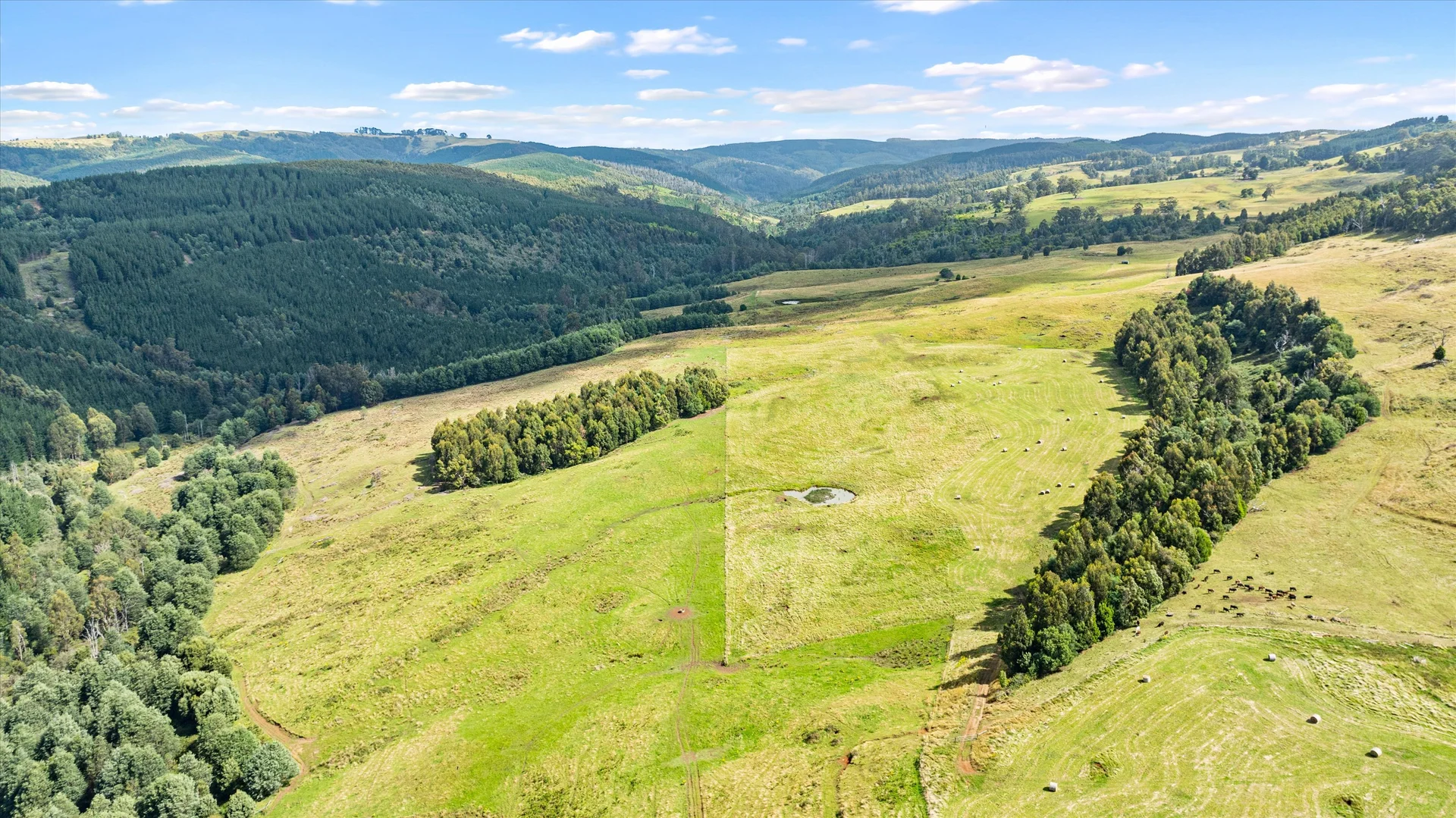 Additional image 41 of 120 Lyndons Road, Callignee VIC 3844