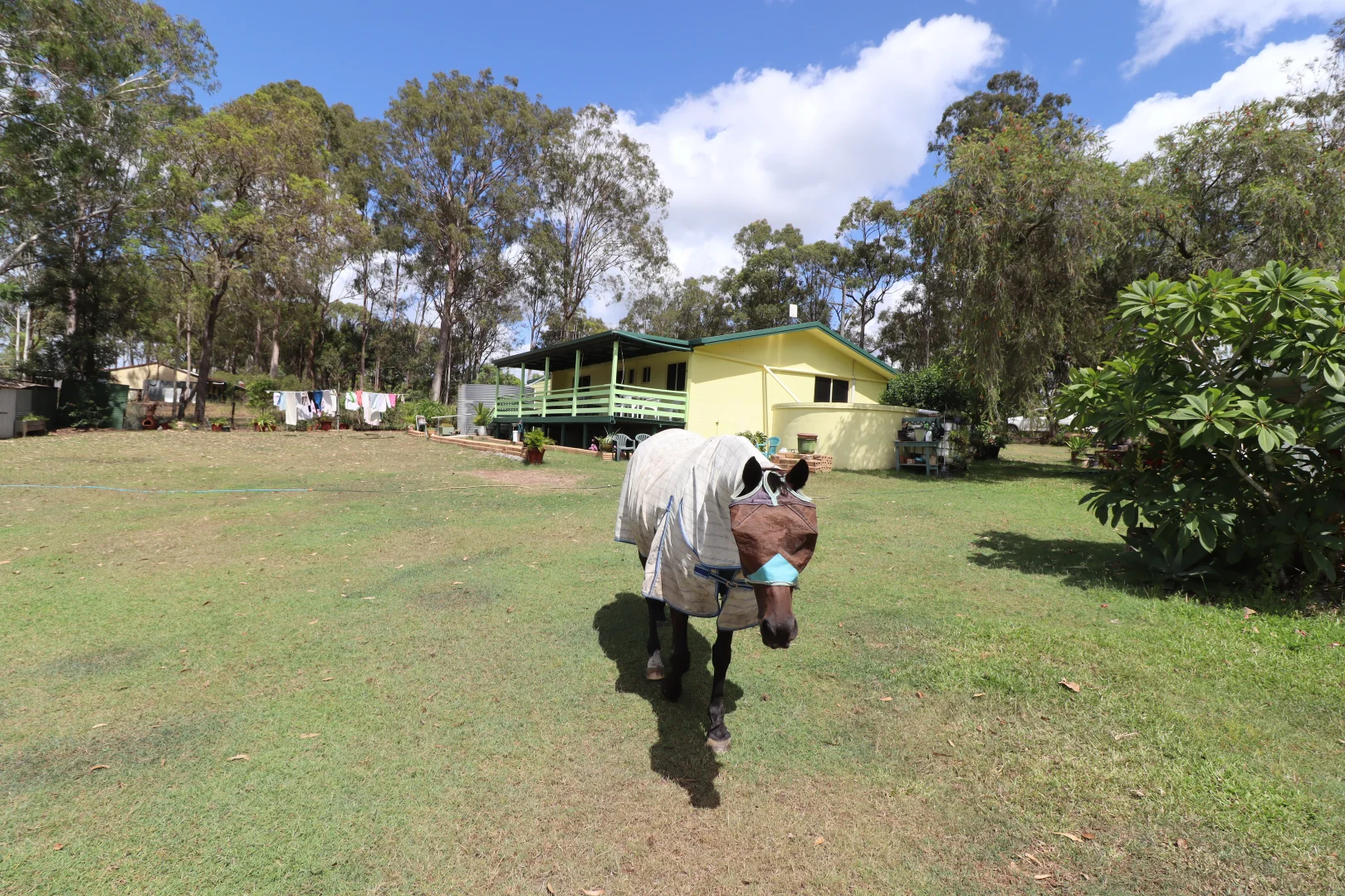 Additional image 9 of 95 Monduran Road, Yandaran QLD 4673