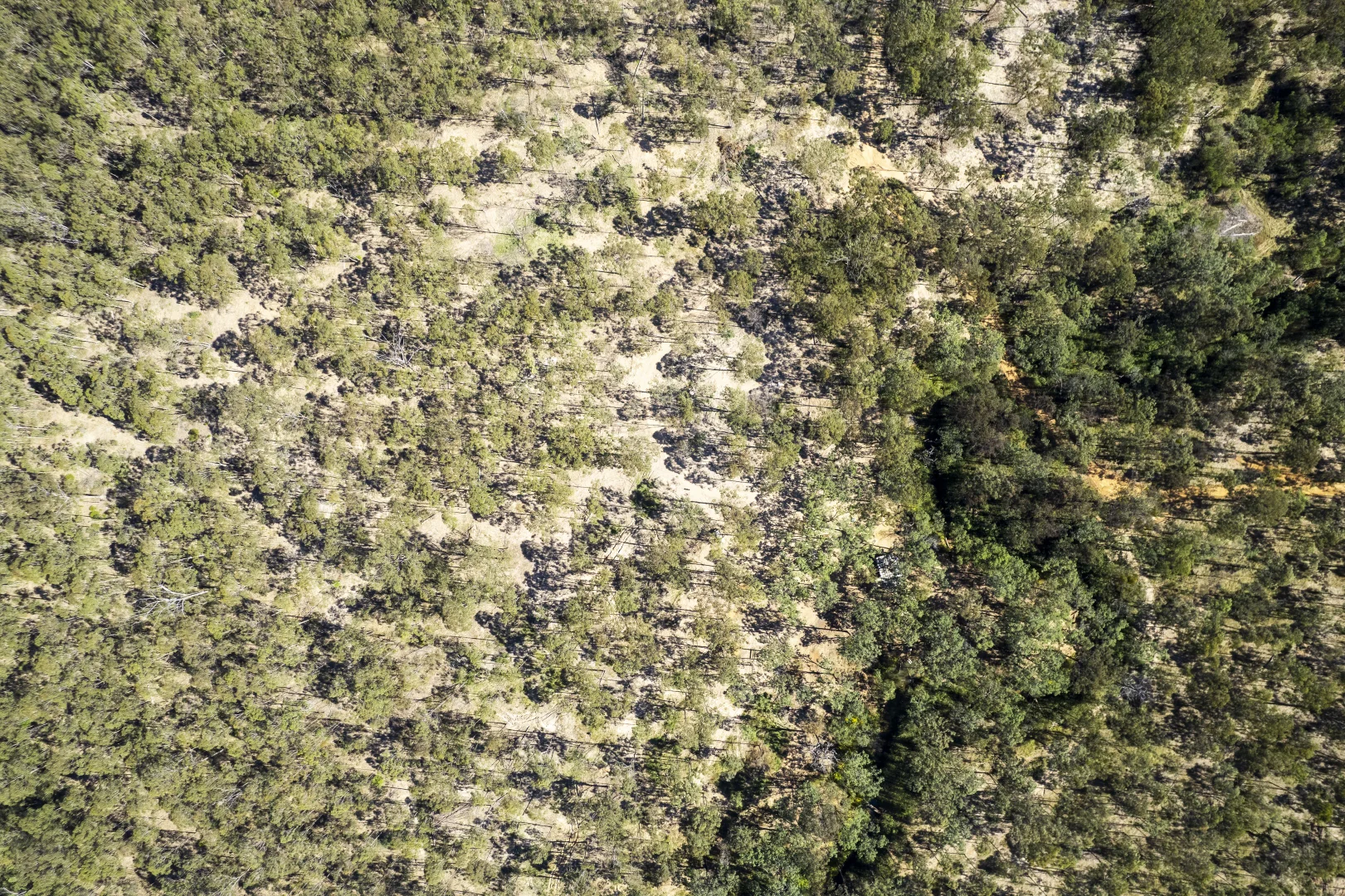 Additional image 8 of 151 Cameron Road, Taromeo QLD 4314