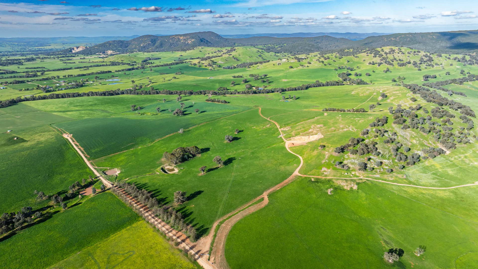 Additional image 4 of Lot 1/279 & Lot 2/281 Jingellic Road, Holbrook NSW 2644