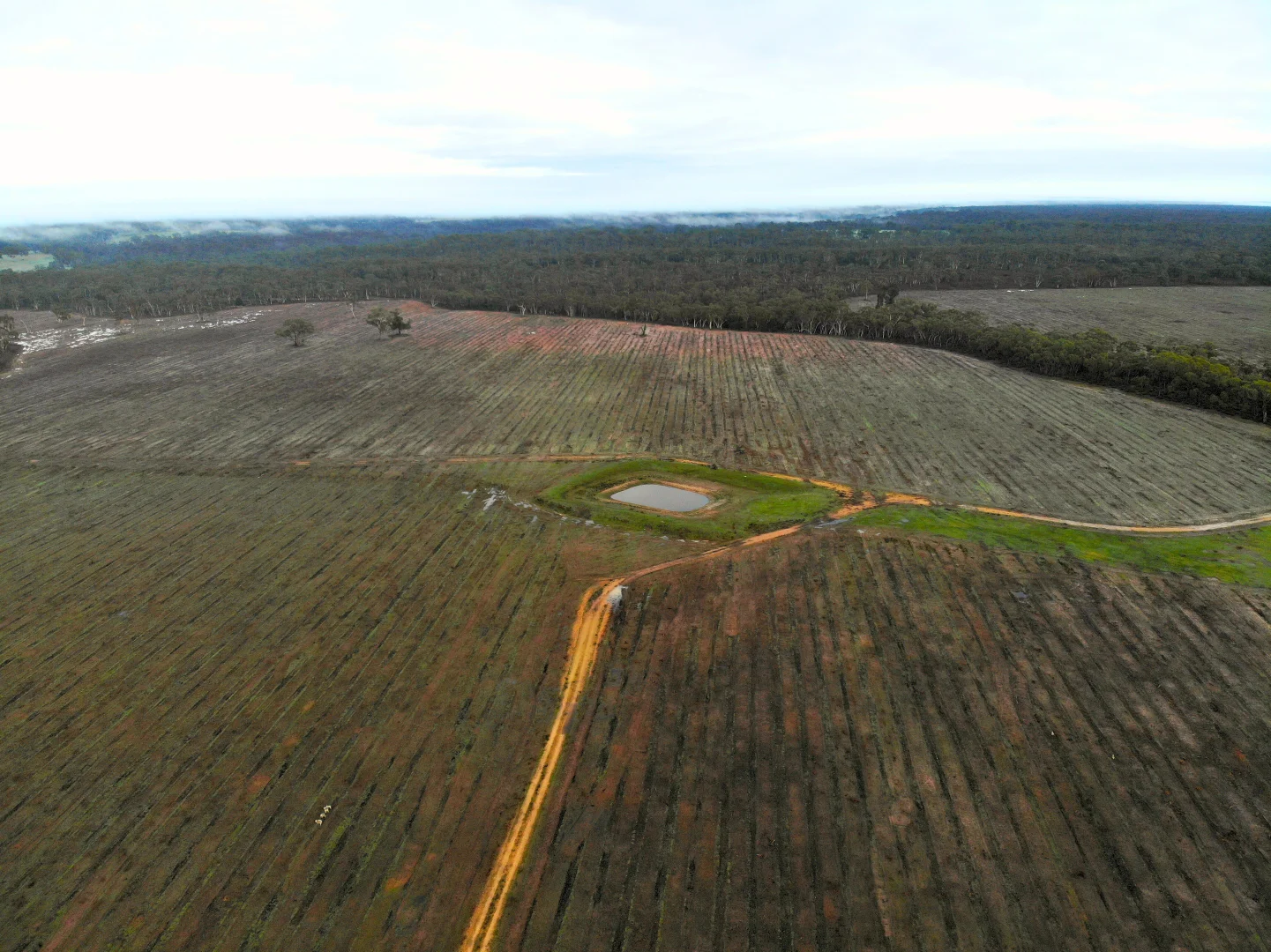 Additional image 2 of Dergholm VIC 3312