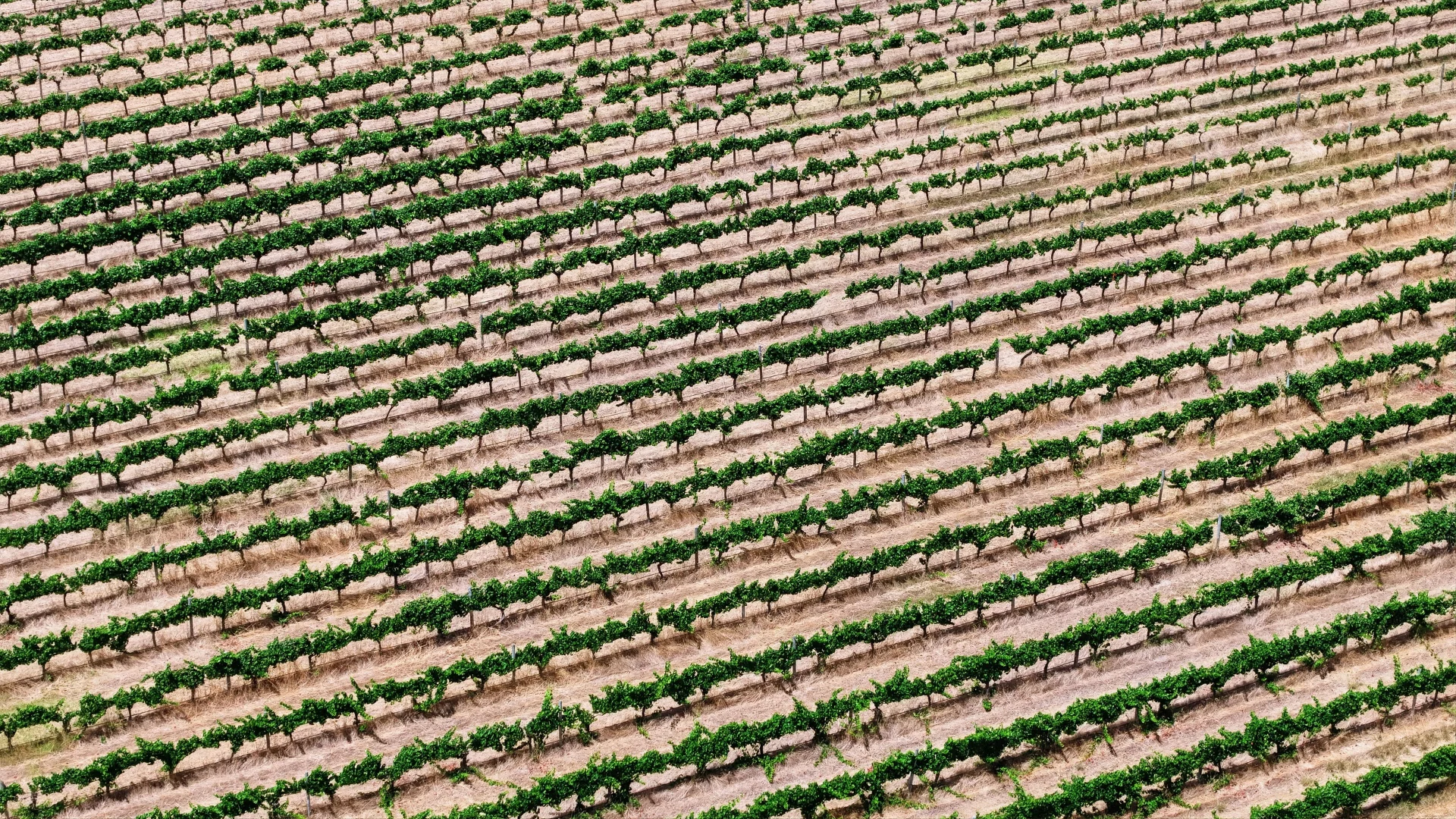 Additional image 5 of 26/3599 Caves Road, Wilyabrup WA 6280