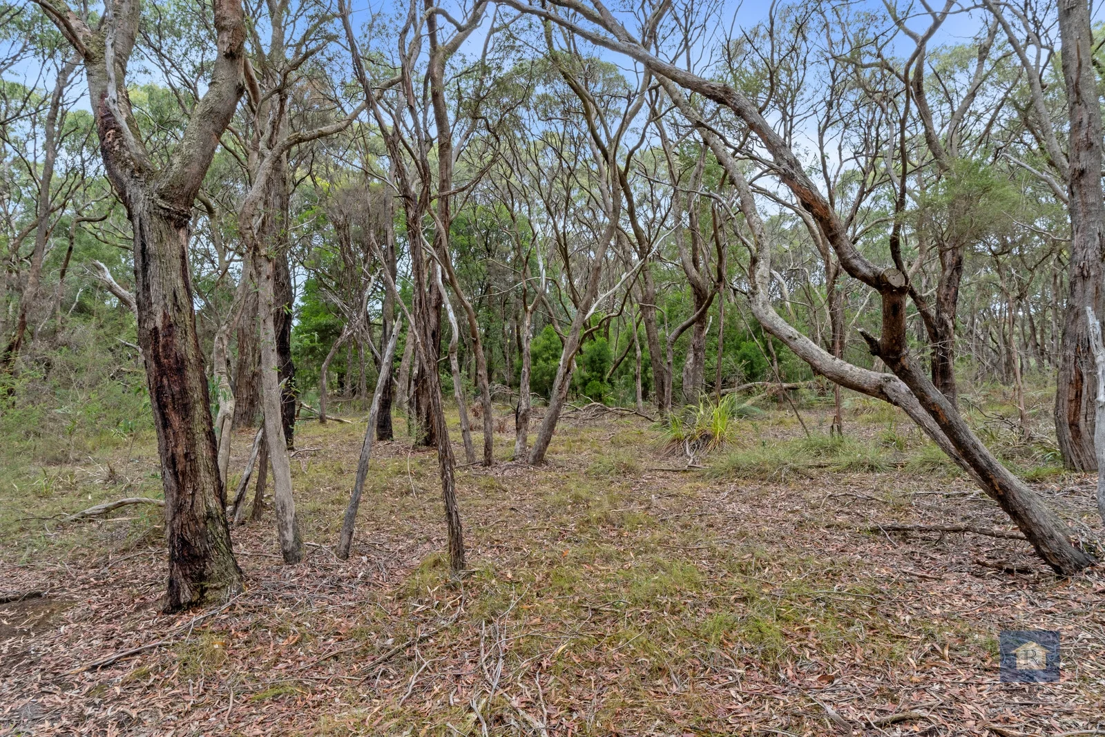 Additional image 13 of 80 Bull Hill Road, Kawarren VIC 3249