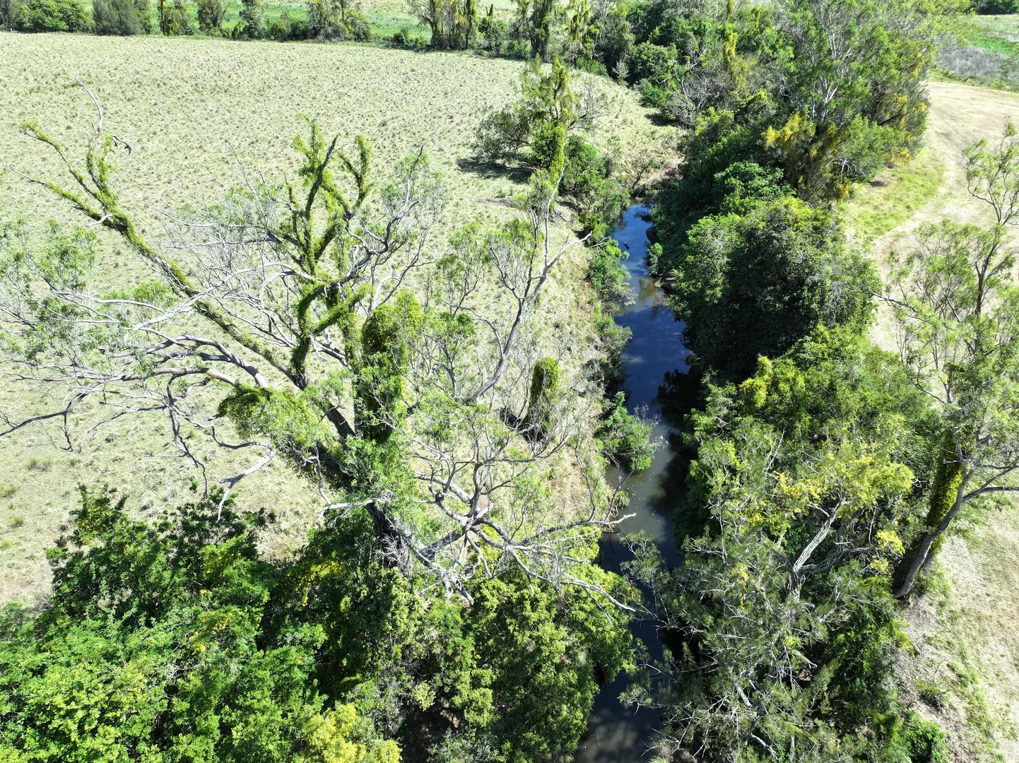 Additional image 17 of 1050 Afterlee Rd, Eden Creek NSW 2474