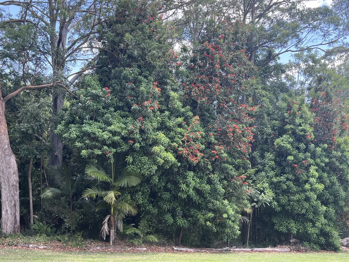 Additional image 12 of 3384 Esk-Hampton Road, Ravensbourne QLD 4352