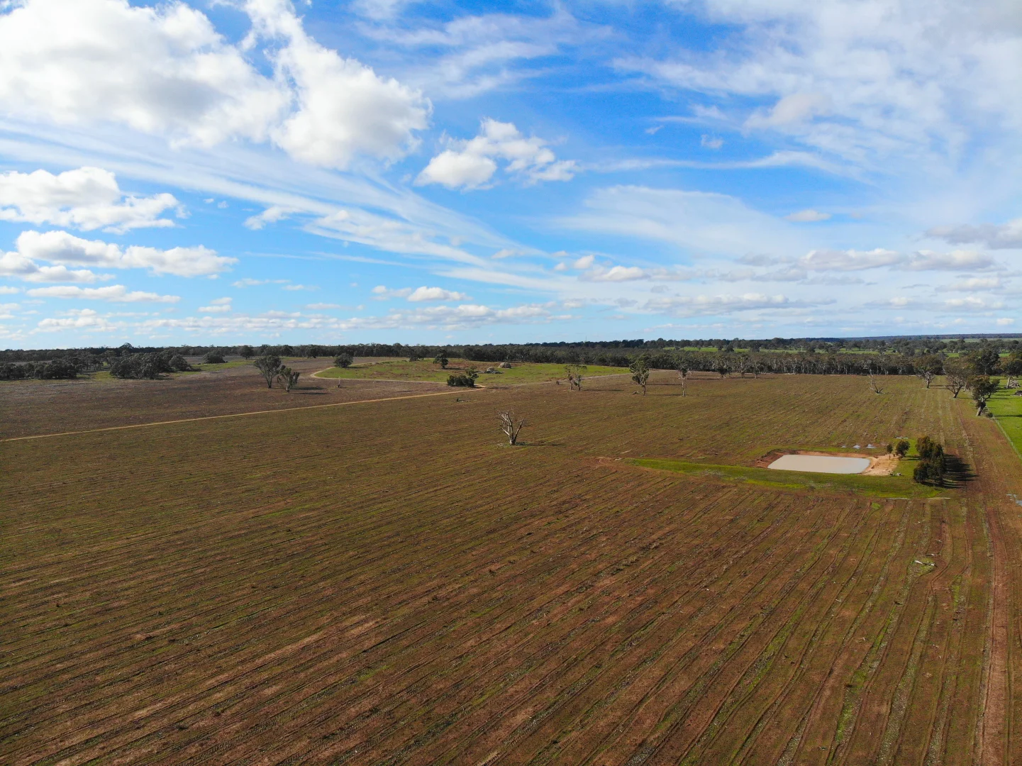 Additional image 4 of Dergholm VIC 3312