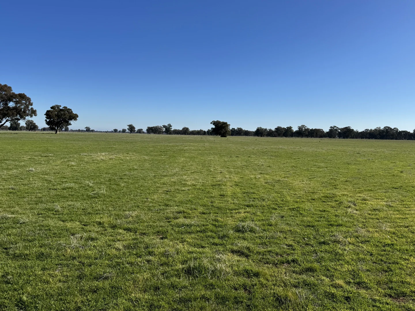 Additional image 26 of Berrigan Oaklands Road, Berrigan NSW 2712