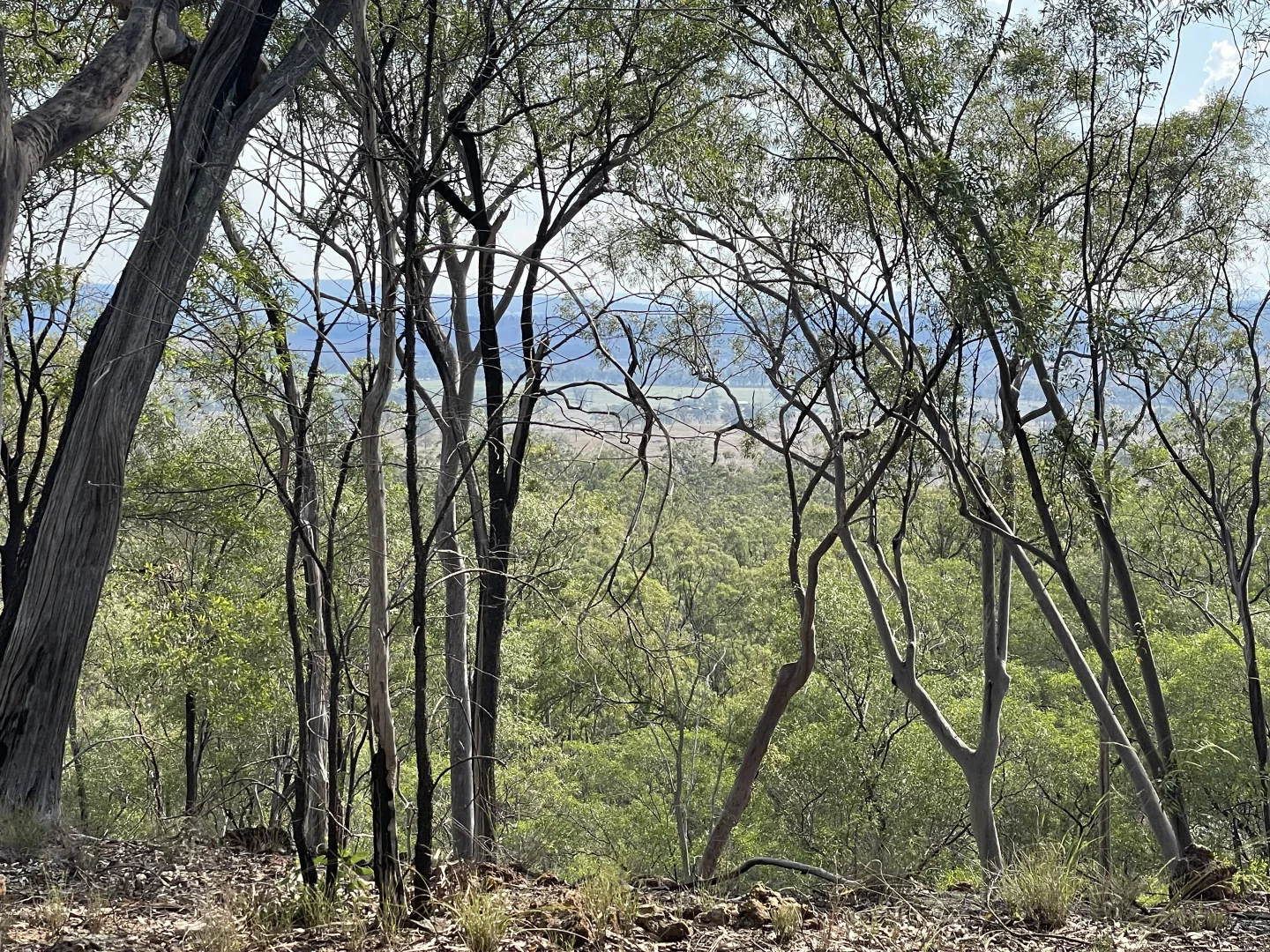 Additional image 9 of 95 Mount Perry Road, Tellebang QLD 4630