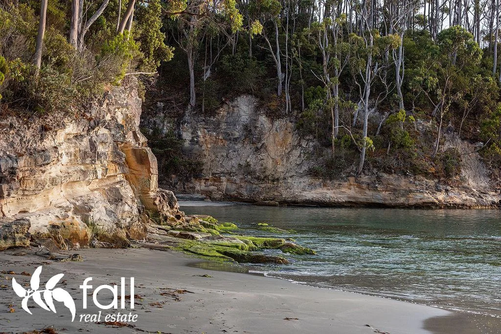 Additional image 31 of 649 Adventure Bay Road, Adventure Bay TAS 7150