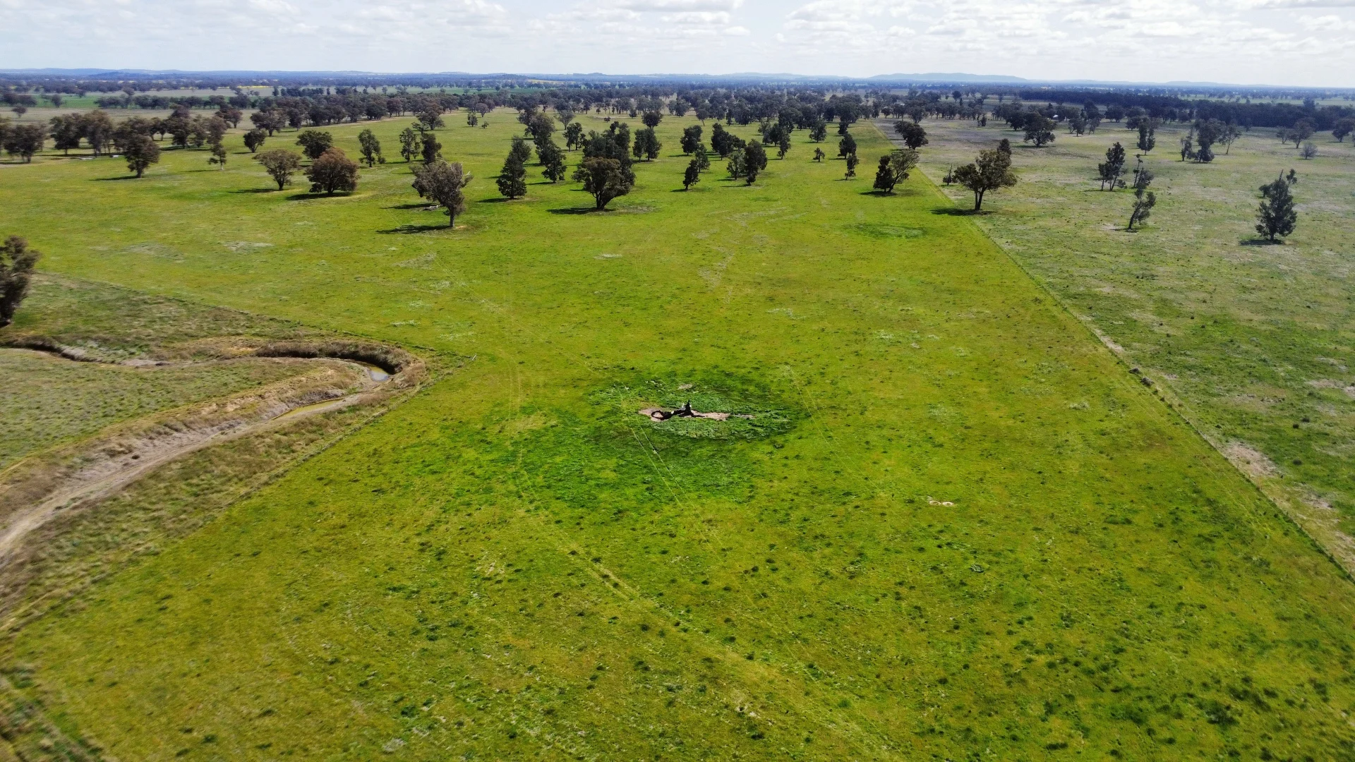Additional image 3 of 1843 Yeo Yeo Hampstead Road, Young NSW 2594