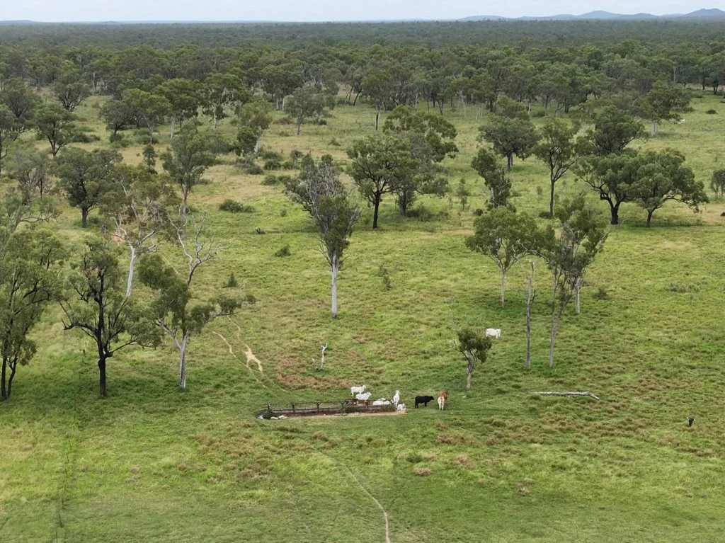 Additional image 6 of Cape River/22386 Flinders Highway, Pentland QLD 4816