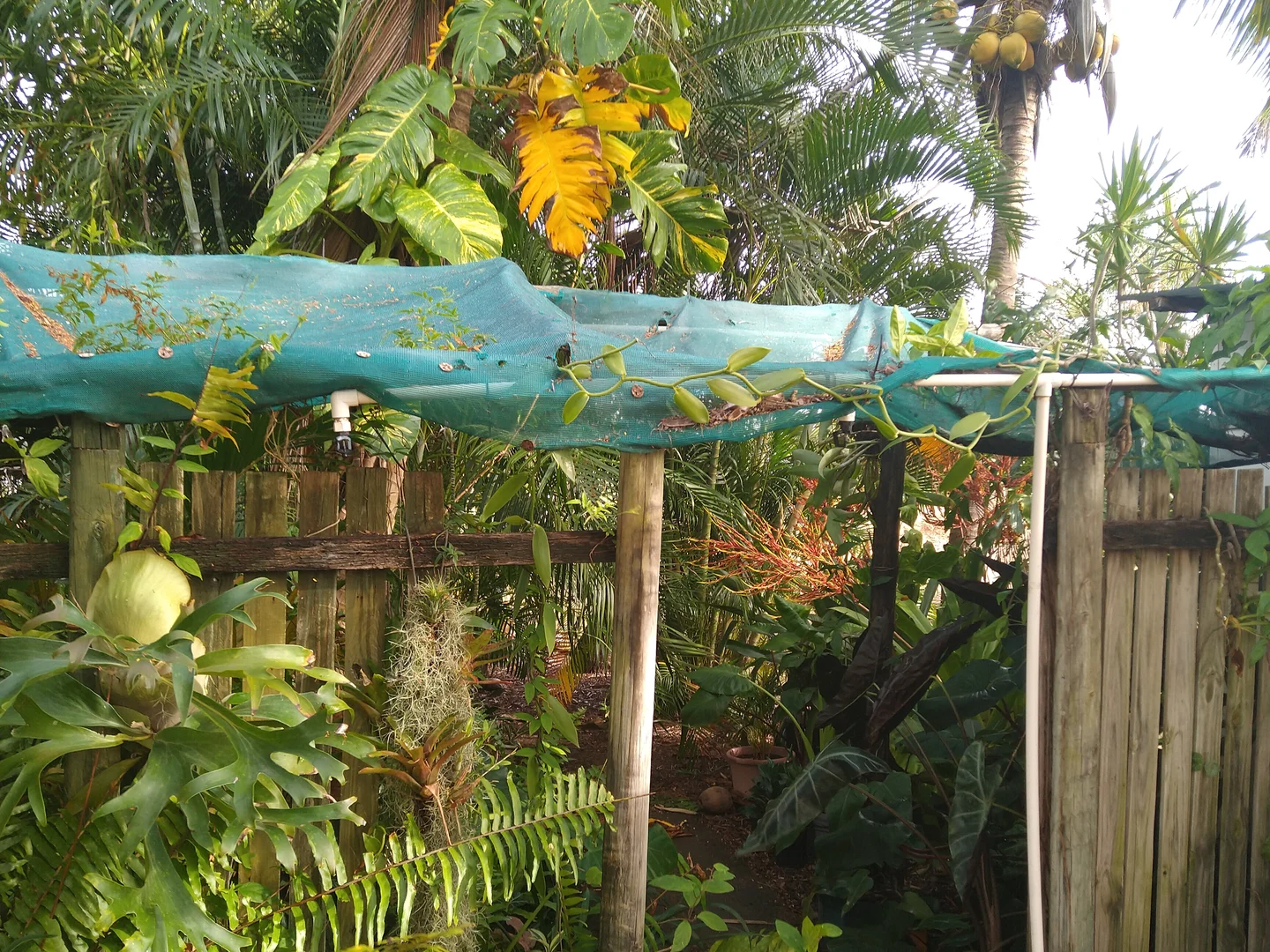 Additional image 29 of 697 Bootooloo Road, Bowen QLD 4805