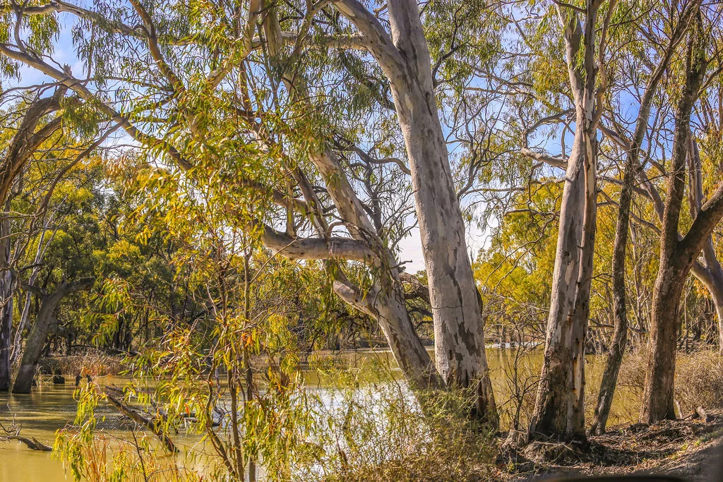 Additional image 26 of 'Wetuppa' 245 Fisher Lane, Wetuppa NSW 2734