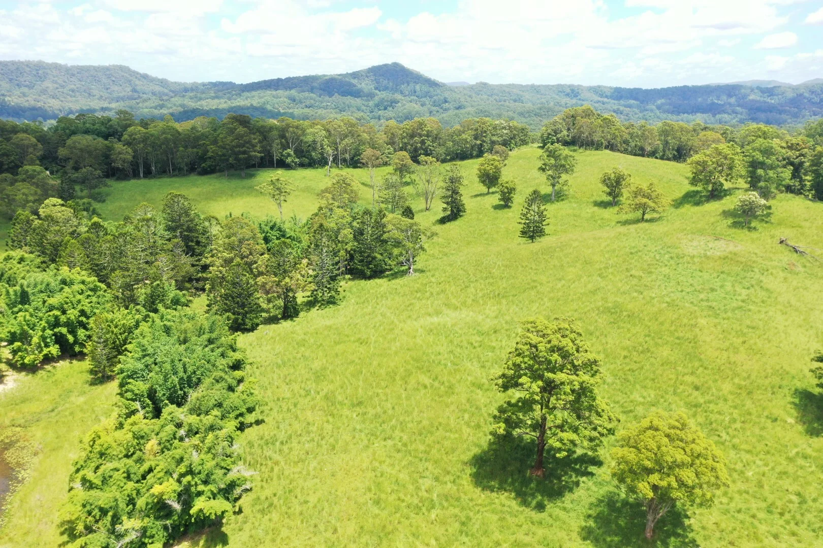 Additional image 4 of 66 Old Tweed Road, Wadeville NSW 2474