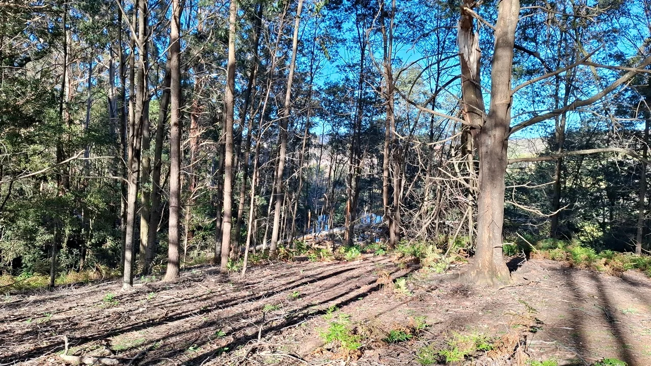 Additional image 9 of 108 Weeks Road, Barrington TAS 7306