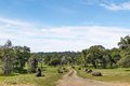 Additional image 69 of 7680 Walsh Ln, Smartsville, CA, 95977