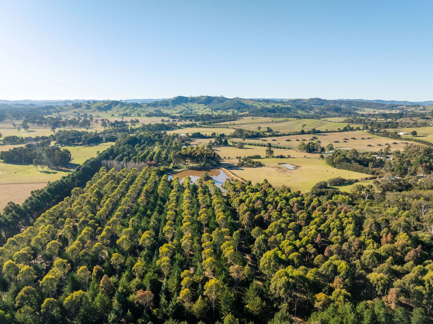 Additional image 11 of 252 Taggerty - Thornton Road, Taggerty VIC 3714