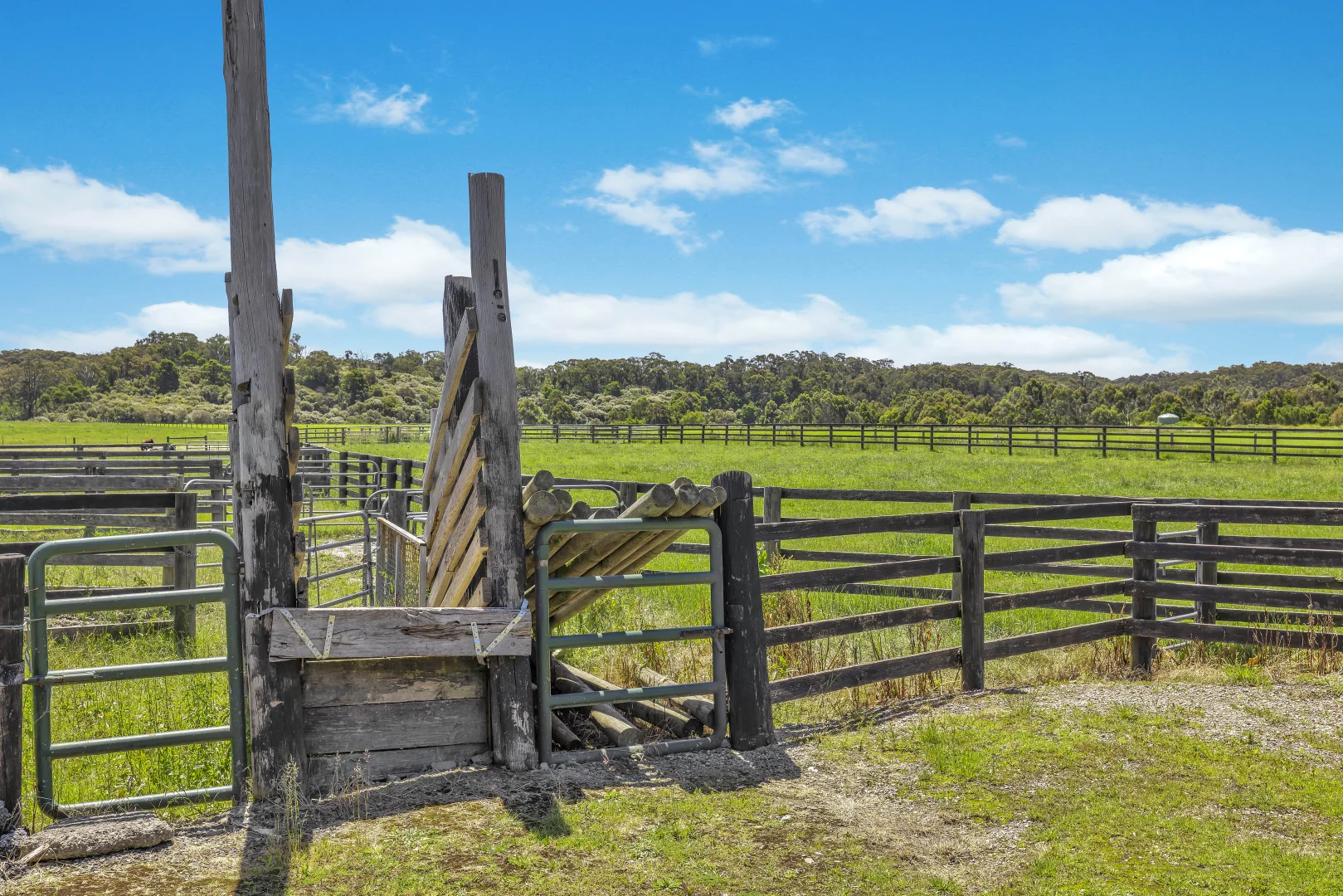 Additional image 19 of Almurta VIC 3979