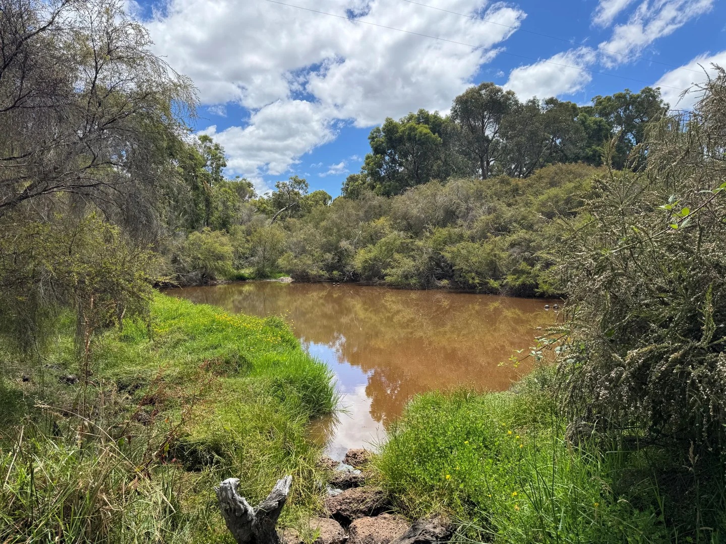 Additional image 9 of 57 Old School Road, Scotsdale WA 6333