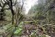 Additional image 9 of Maudland, Rhos, Carmarthenshire SA33