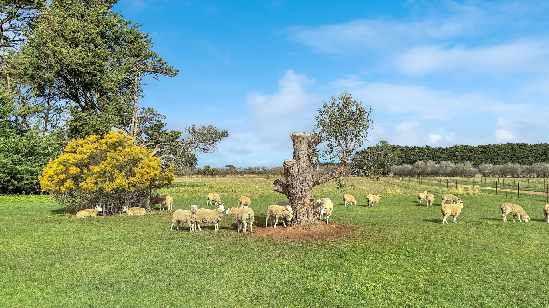 Additional image 6 of 'Hawthorn Park' 83 Sheehans Road, Romsey VIC 3434