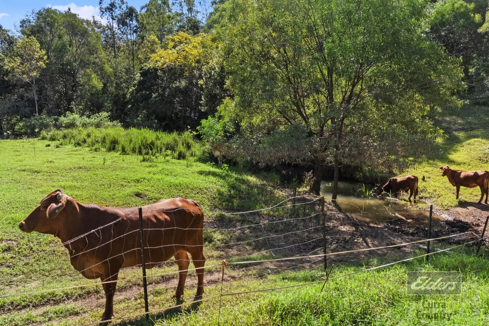 Additional image 14 of 709 Glen Echo Road, Glen Echo QLD 4570