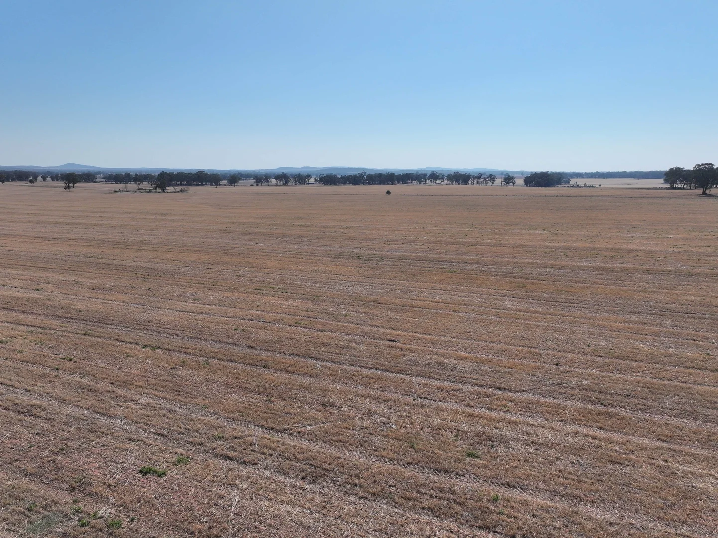 Additional image 9 of 'Wattlevale' 875 Schmidts Lane, Gidginbung NSW 2666