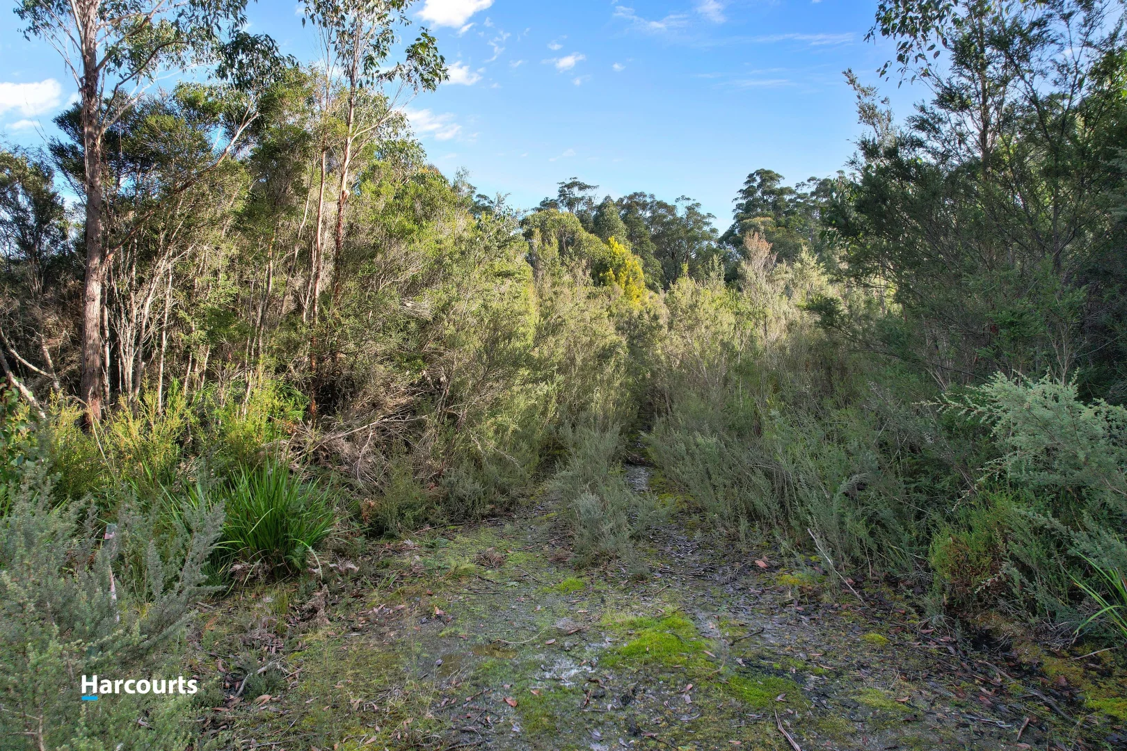 Additional image 6 of 110 Tongue Road, Hastings TAS 7109