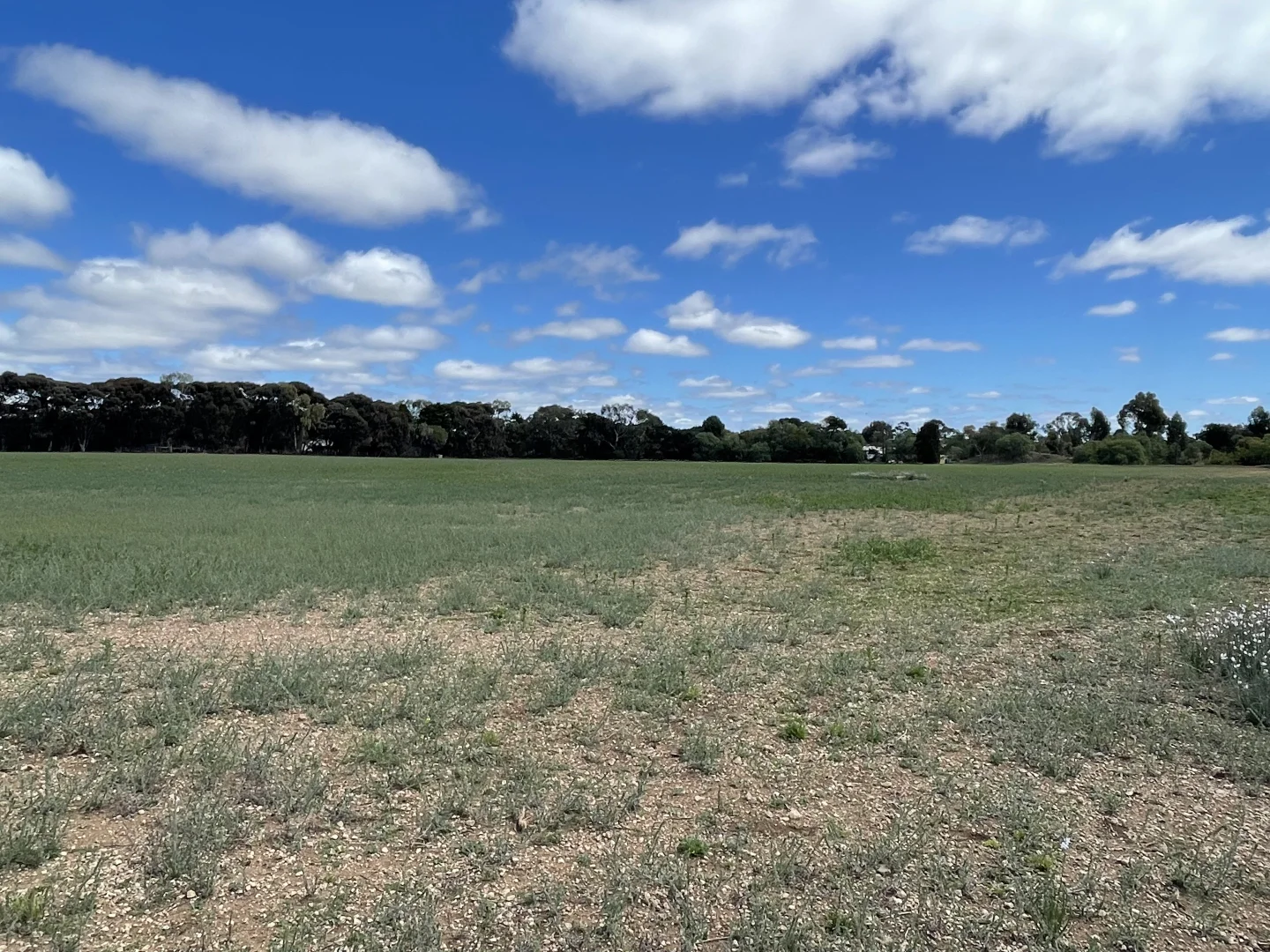 Additional image 8 of 95 Thomas Road, Lara VIC 3212
