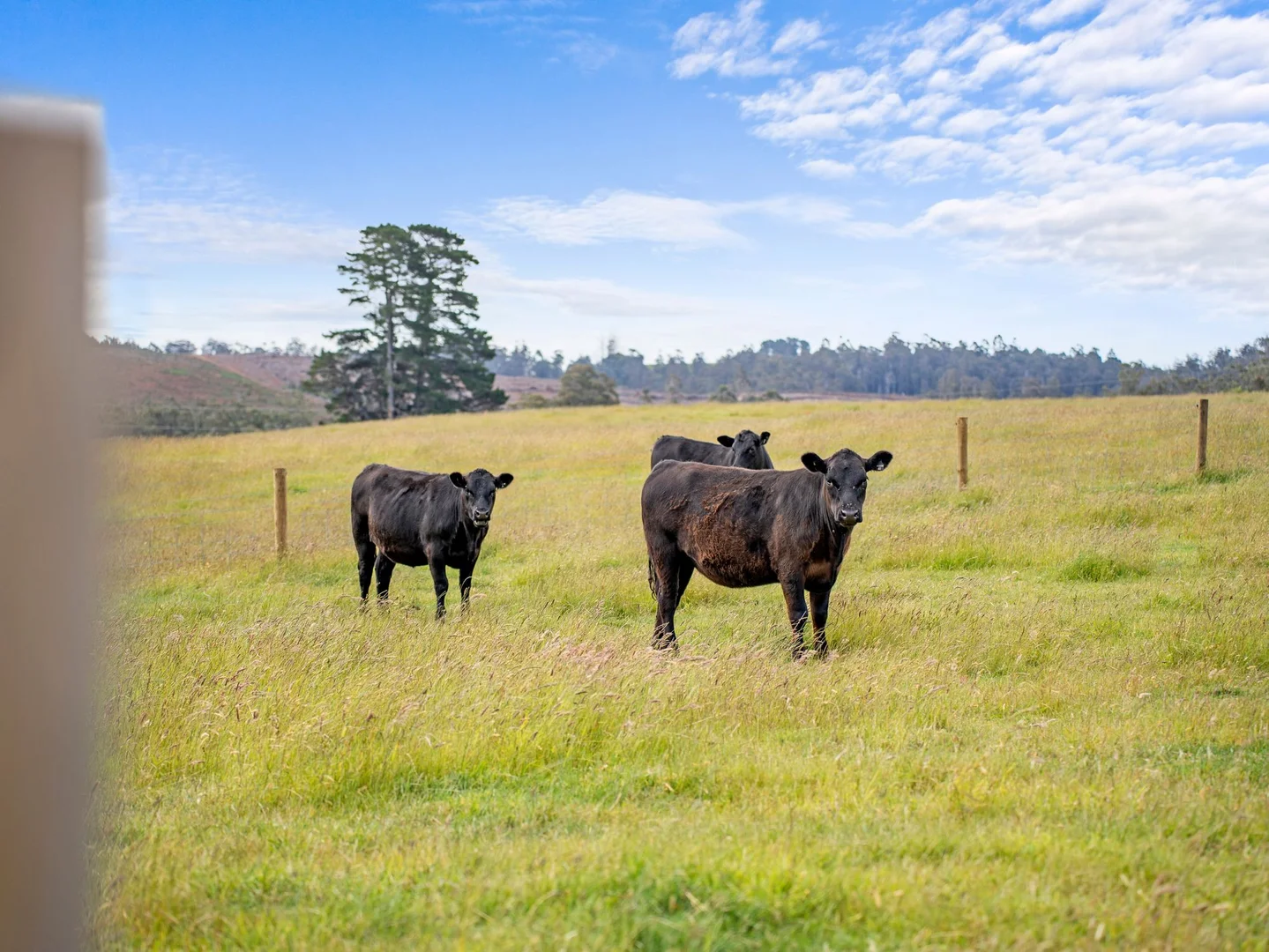 Additional image 24 of Dalwood Road, Nook TAS 7306