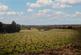 Additional image 14 of Hilton, Bridgnorth, WV15