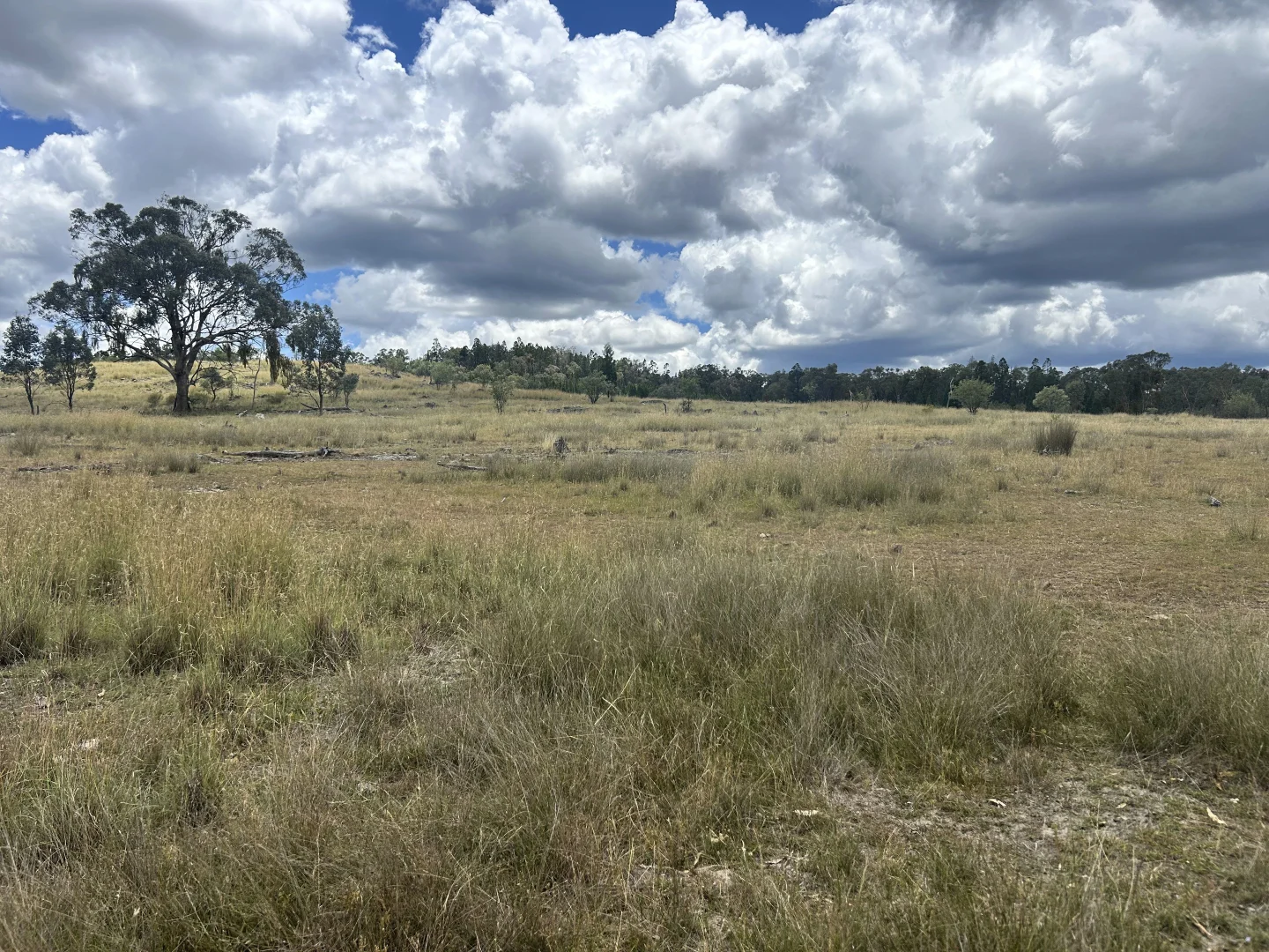 Additional image 23 of 60 Windorah Road, Inverell NSW 2360