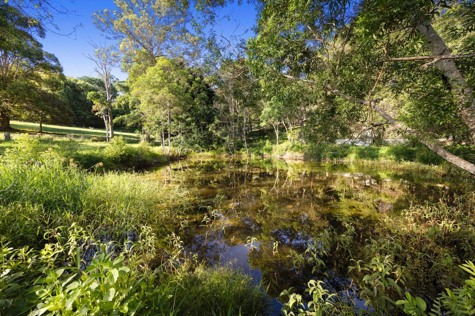 Additional image 7 of 72 Pringle Road, Rosemount QLD 4560