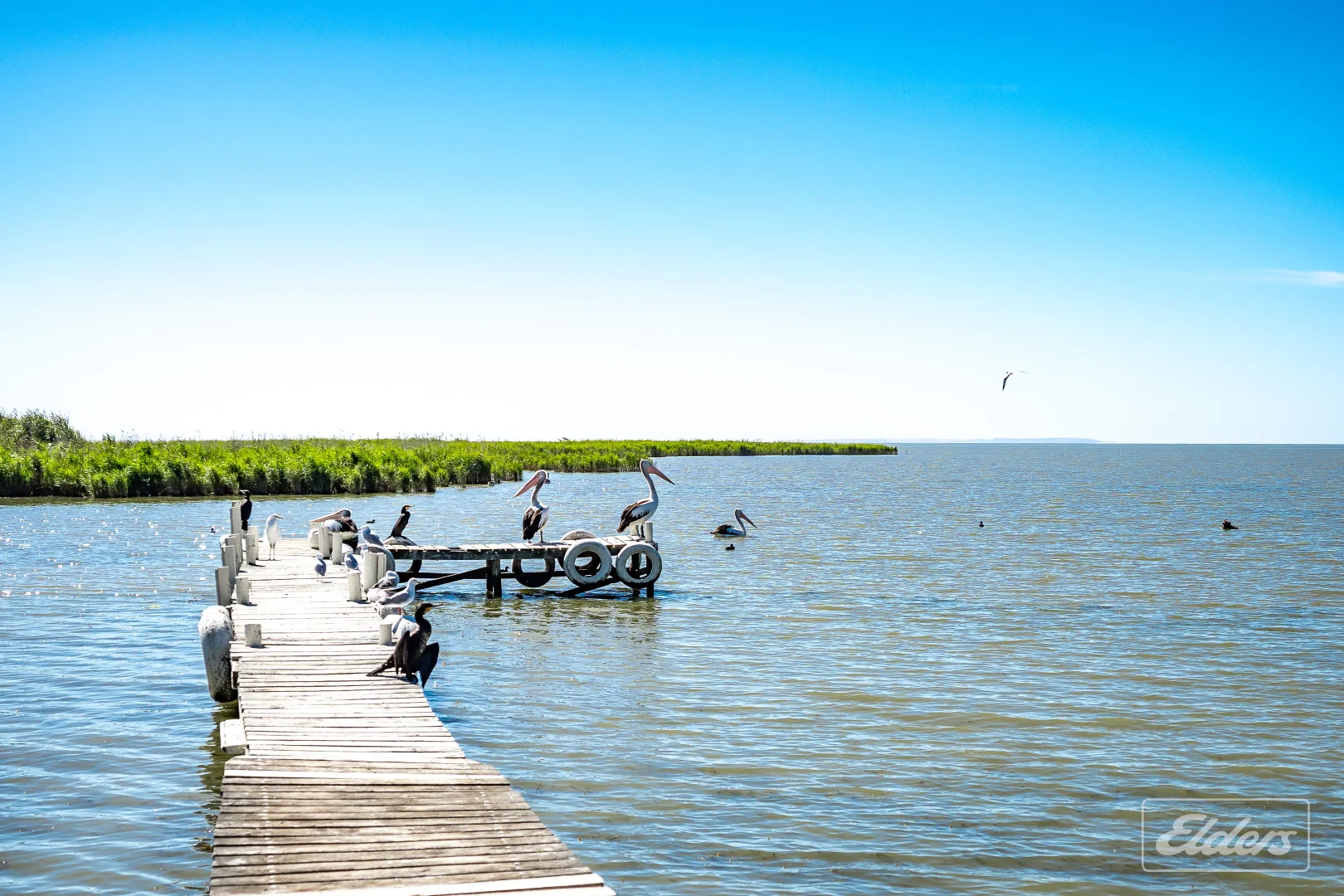 Additional image 14 of 33A Paddlesteamer Drive, Milang SA 5256
