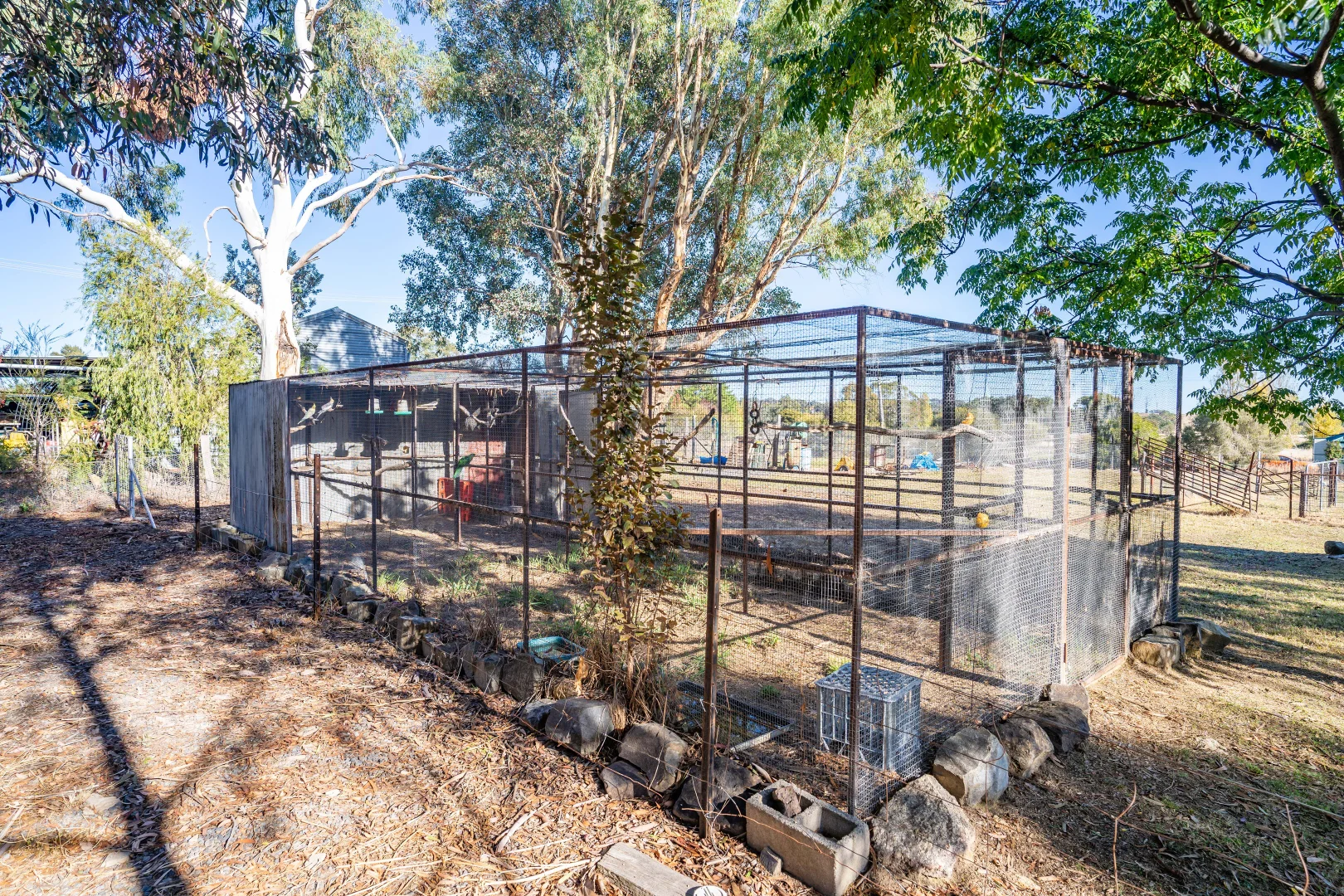 Additional image 18 of 12 Terminus Street, Lyndhurst NSW 2797