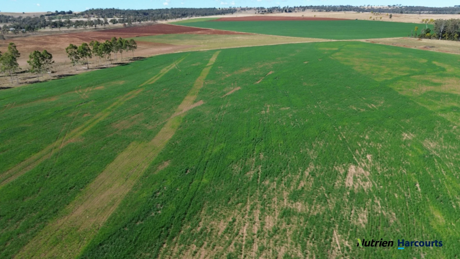 Additional image 11 of Lot 2 Reedy Creek Road, Benair QLD 4610