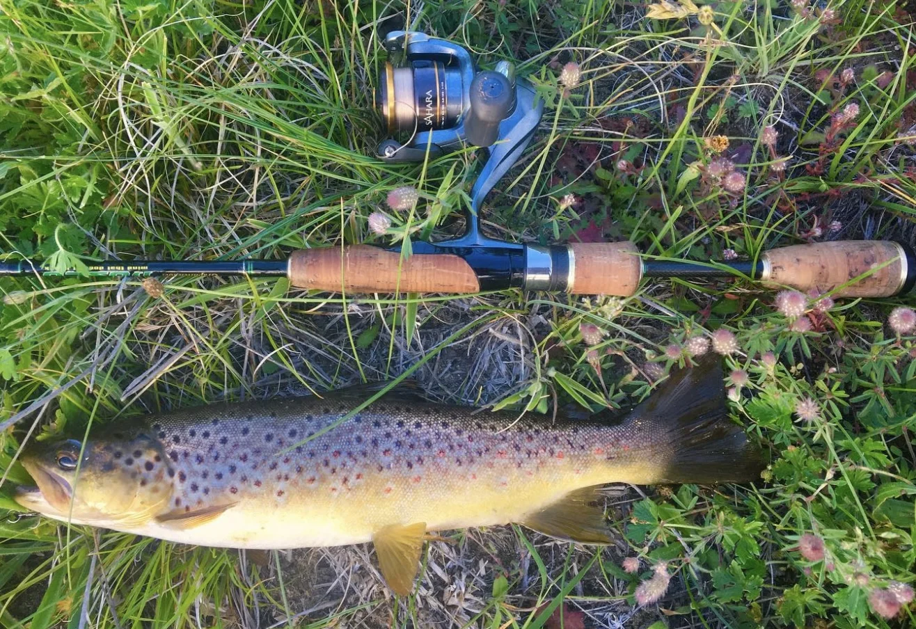 Additional image 16 of 4782 Jerangle Road, Captains Flat NSW 2623