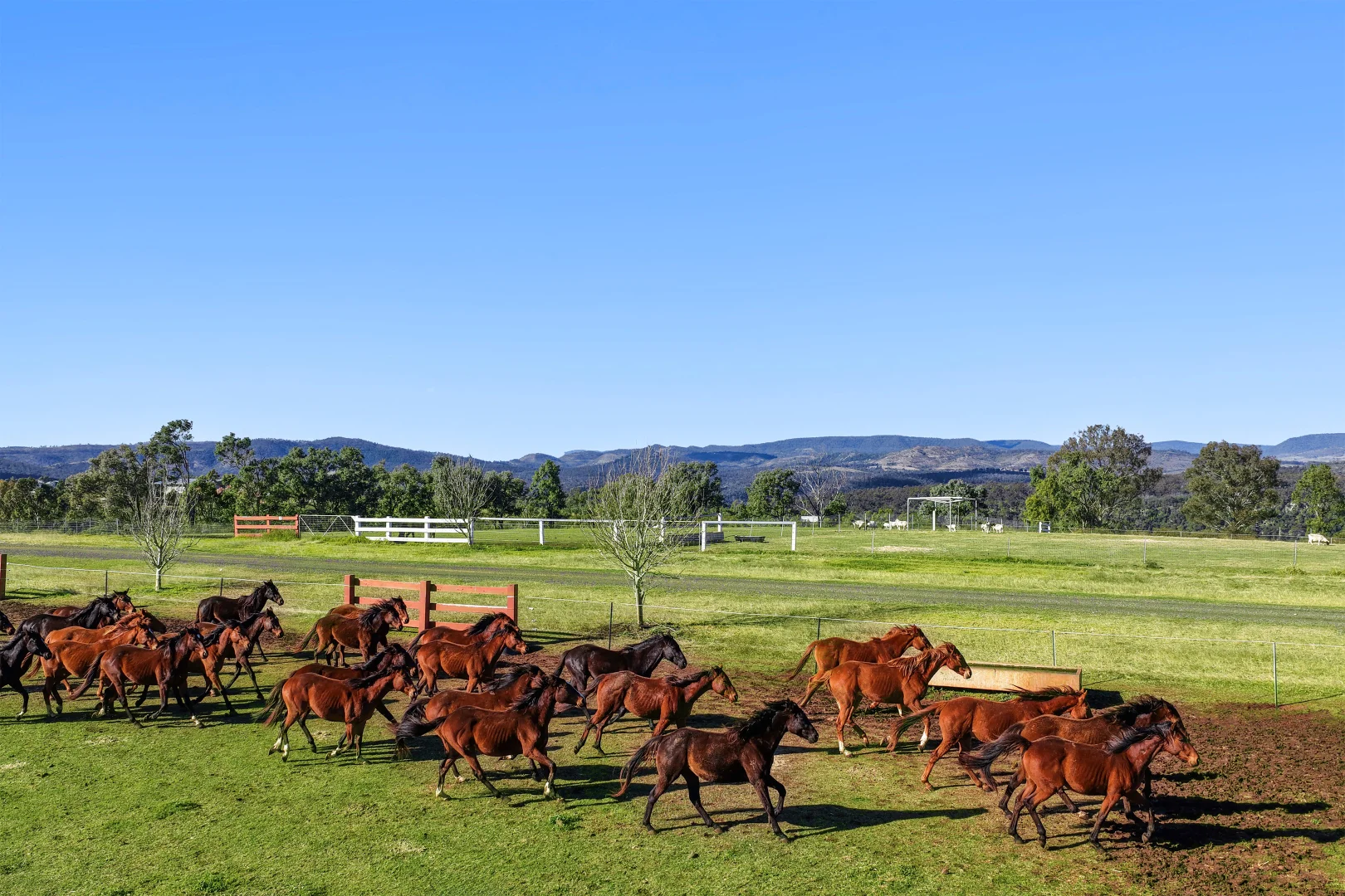 Additional image 6 of 1230 East Egypt Road, Fordsdale QLD 4343