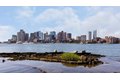Additional image 47 of 63 Lewis St, East Boston, MA, 02128