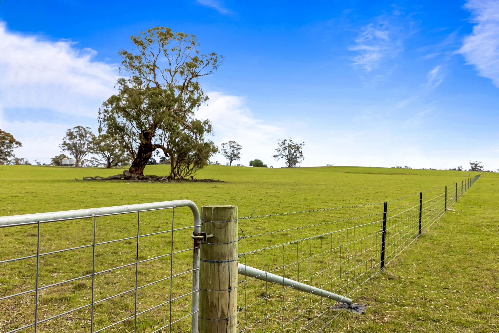 Additional image 6 of 140 Pearce Road, Campbells Bridge VIC 3387