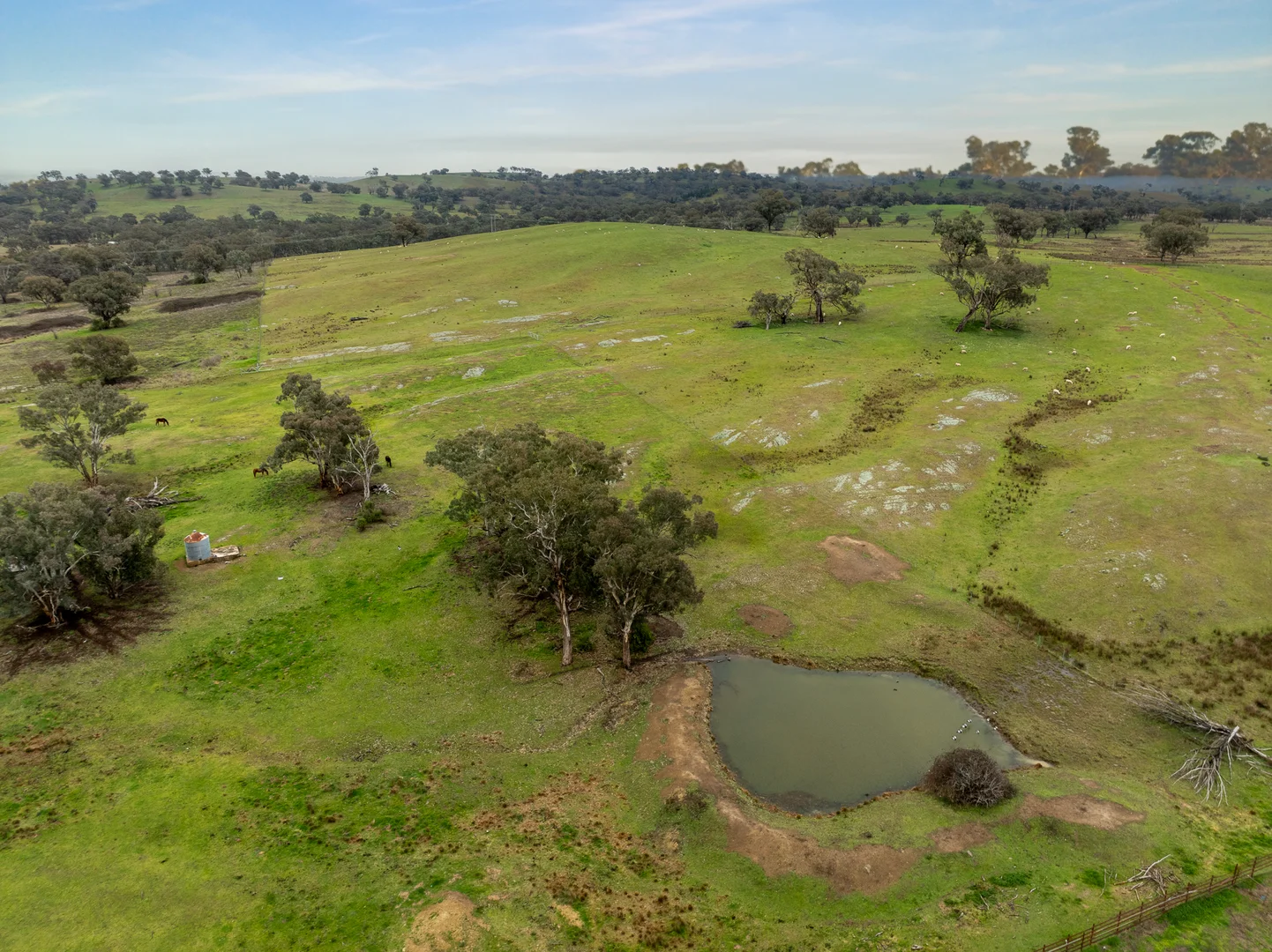 Additional image 17 of 6119 Burrendong Way, Stuart Town NSW 2820