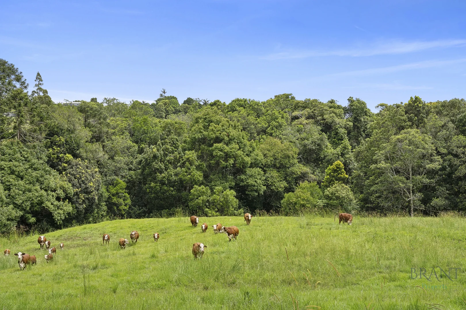 Additional image 7 of Dulong QLD 4560