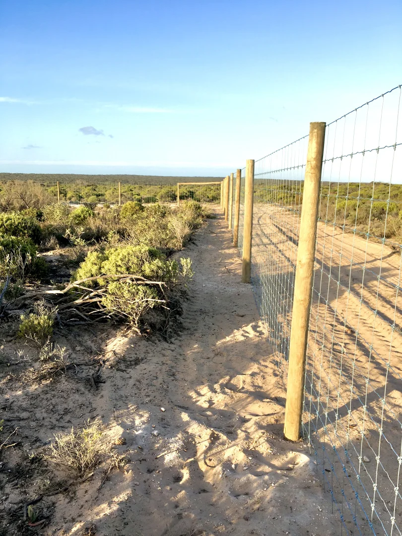 Additional image 9 of 2285 Coorabie Road, Fowlers Bay SA 5690