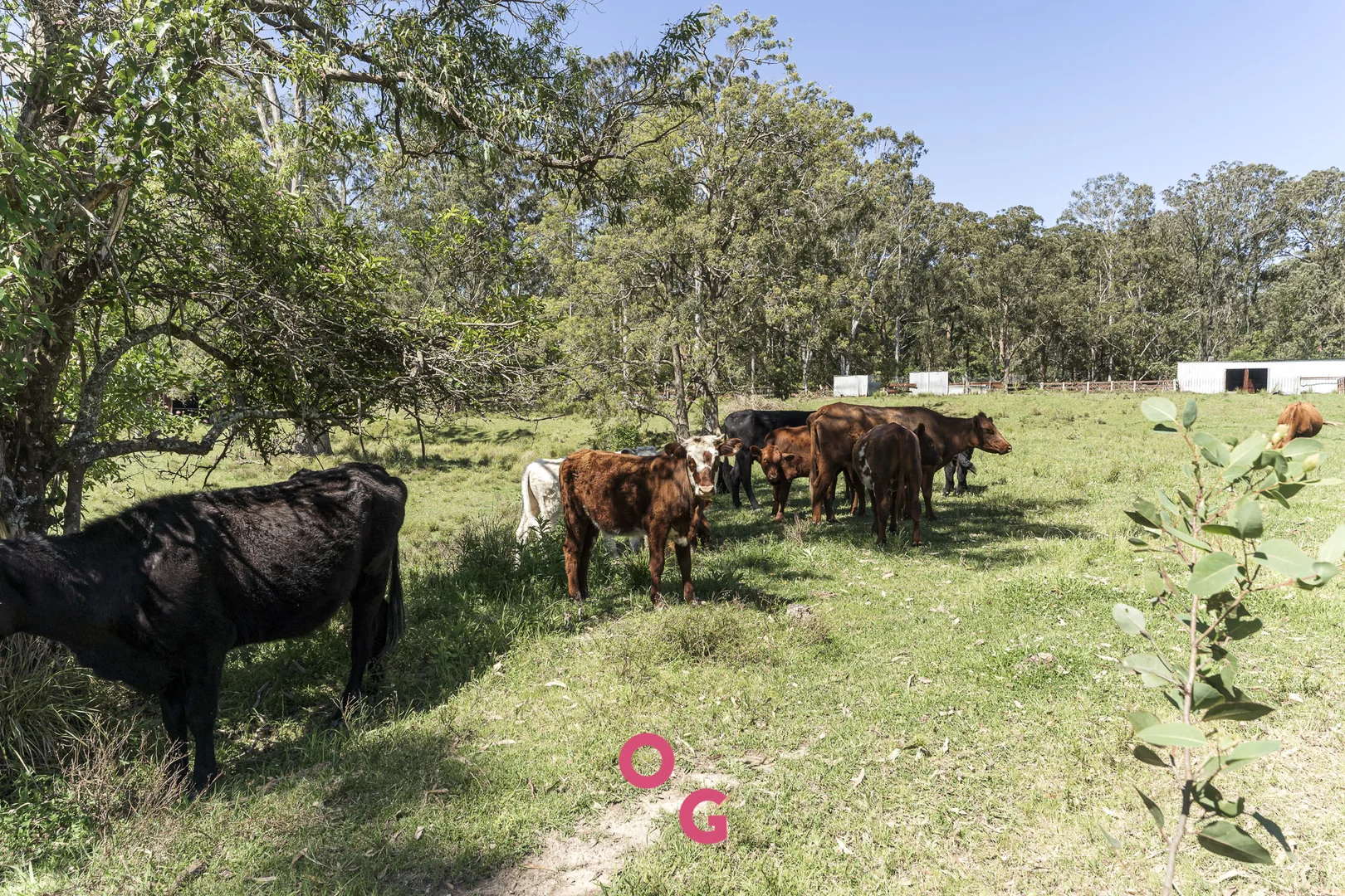 Additional image 40 of 136 Limeburners Creek Road, Limeburners Creek NSW 2324