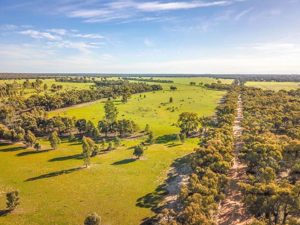 Additional image 41 of 'Wetuppa' 245 Fisher Lane, Wetuppa NSW 2734