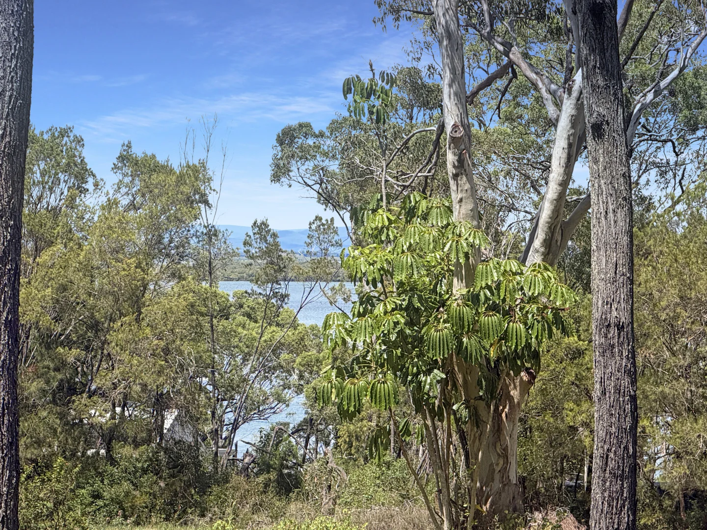 Additional image 17 of 17 High Central Road, Macleay Island QLD 4184