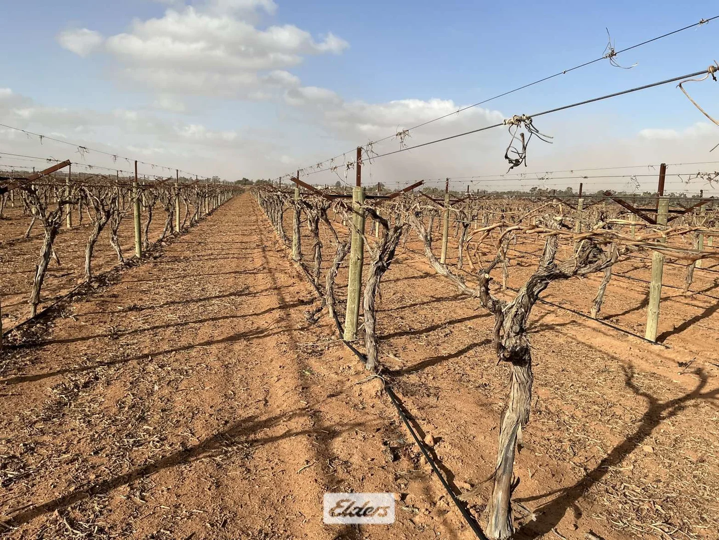 Additional image 11 of 221 & 245 Cowanna Avenue, Merbein South VIC 3505