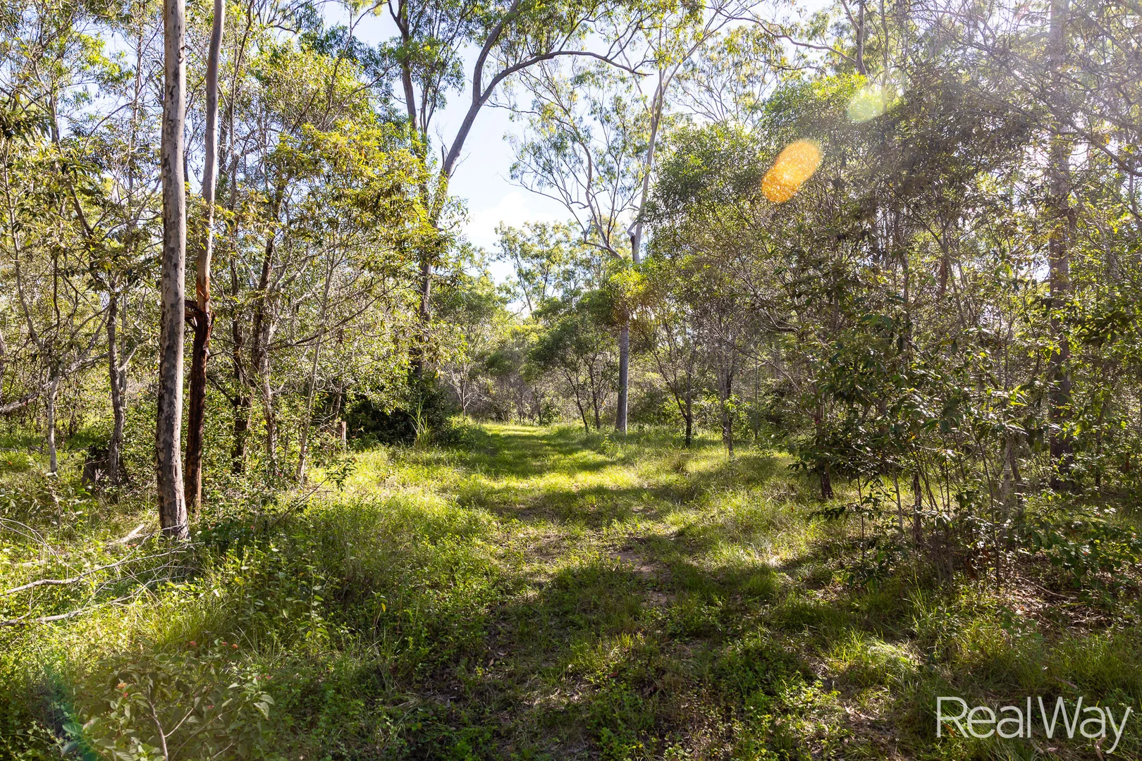 Additional image 12 of 2 Jacksons Road, South Isis QLD 4660