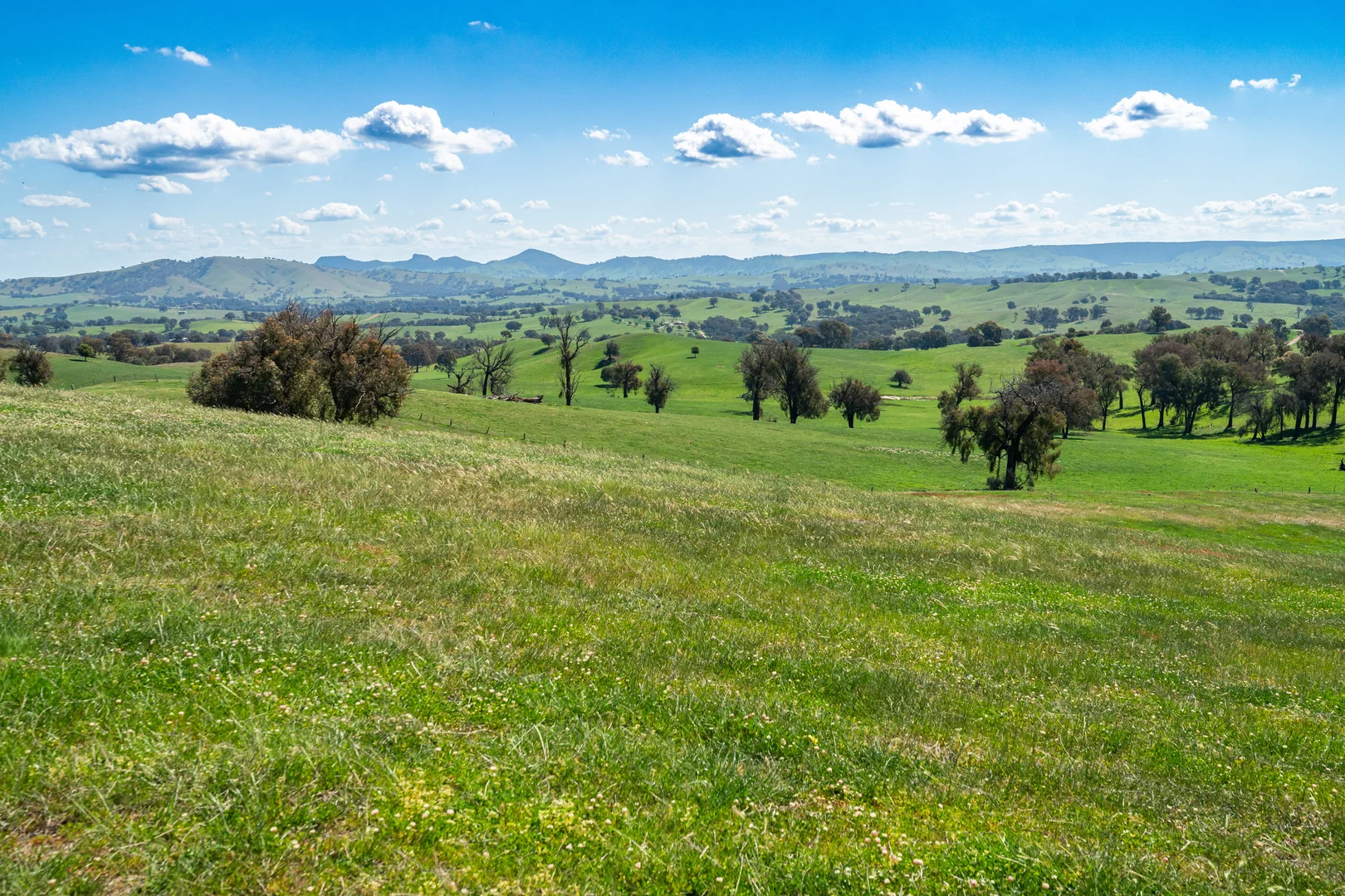 Additional image 2 of 13759 Hume Highway, Mullengandra NSW 2644